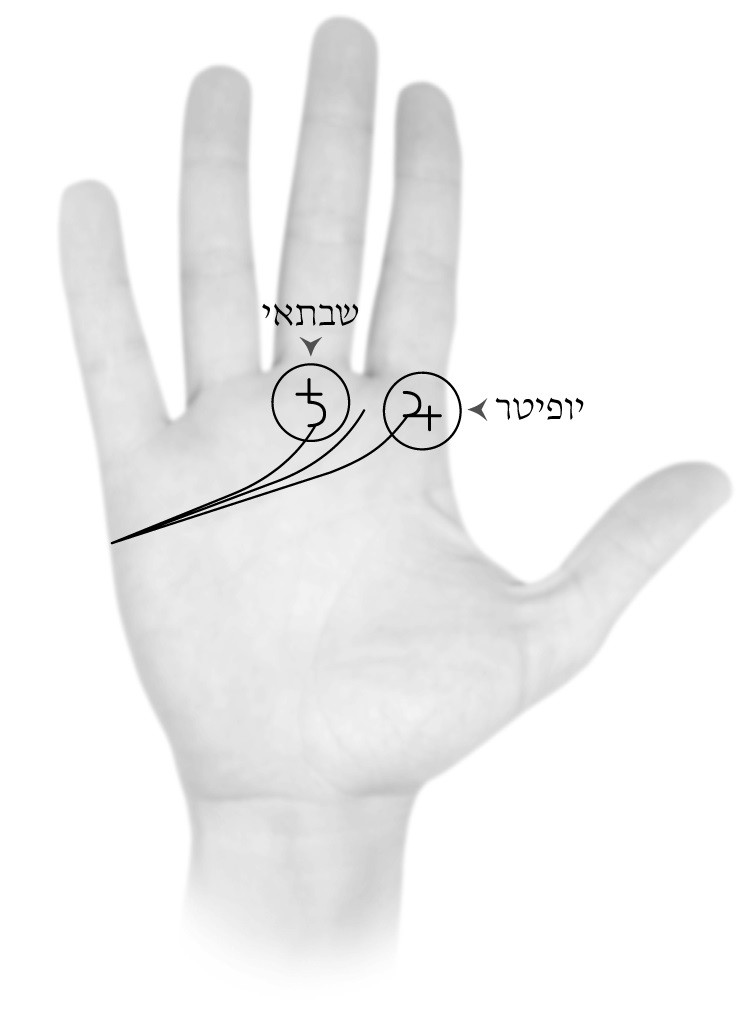 נעמי מוהר - כלים לרכישה - על קו הלב